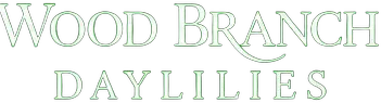 Wood Branch Daylilies