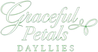 Graceful Petals Daylilies