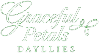 Graceful Petals Daylilies